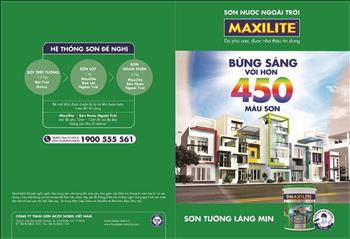 Bảng màu Maxilite ngoại thất A919
